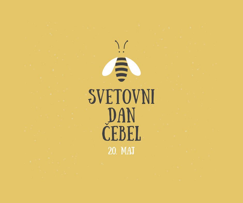 Ob svetovnem dnevu čebel: diplomantka Anja Bevc in njena čebelarska zgodba
